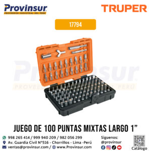 Juego de 100 puntas mixtas de 1'' en estuche de plástico 17794 Truper